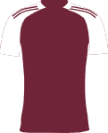 Aston Villa logo