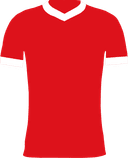 Bristol City FC logo
