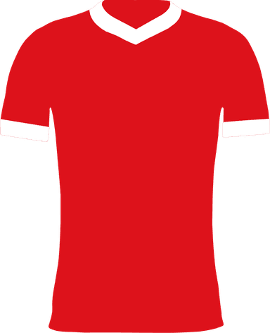 Bristol City FC Bristol City FC